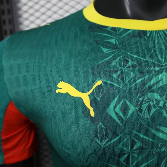 Camisola Senegal alternativa copa do mundo 2026 verde - PLAYER