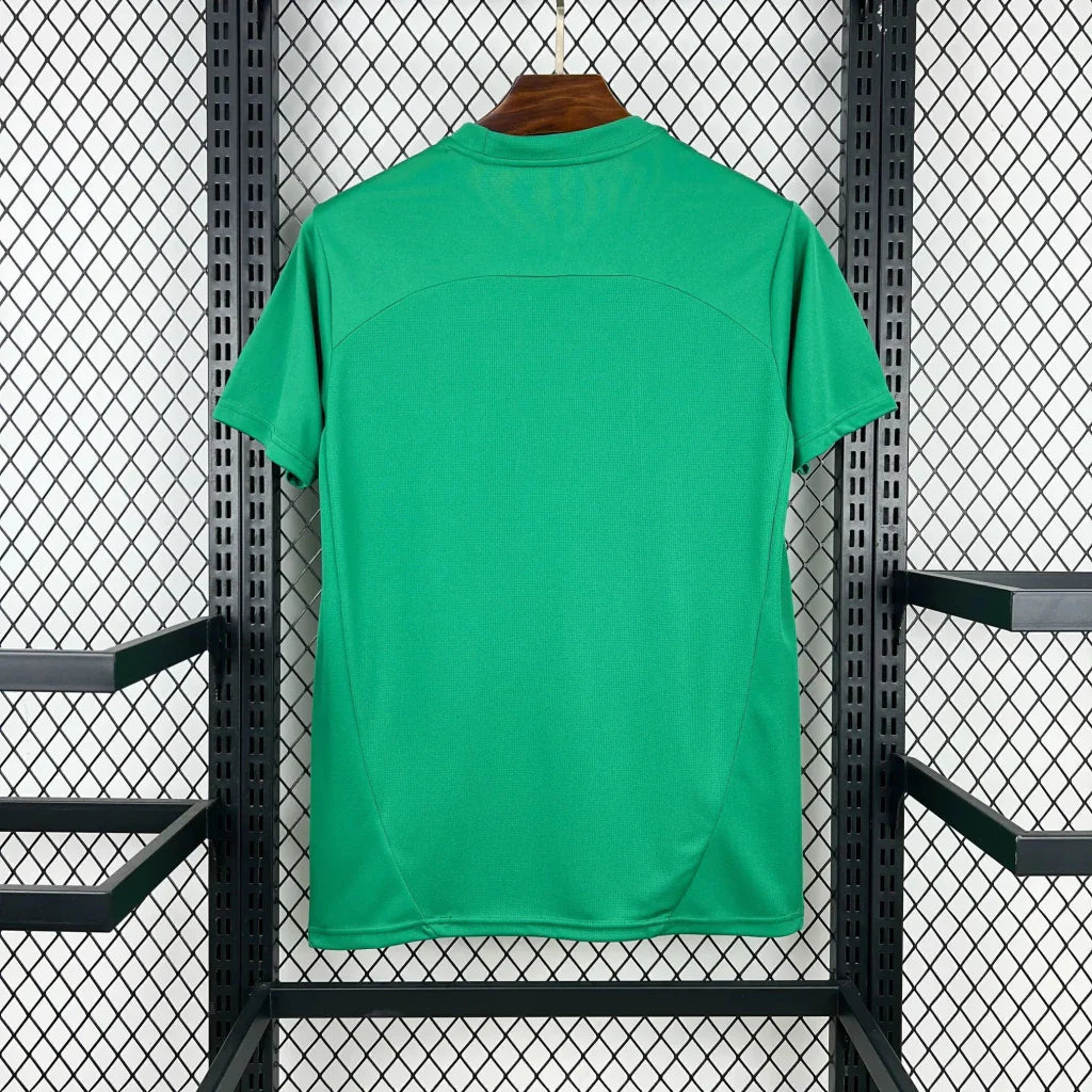 Camisola Fluminense treino 2026 verde