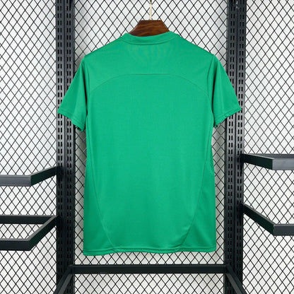 Camisola Fluminense treino 2026 verde