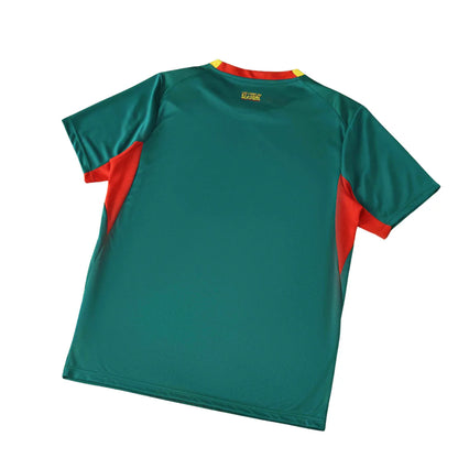Camisola Seleção do Senegal alternativa verde - Copa do Mundo 2026